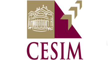 Centre des Etudes Supérieures De l'Ingénierie et du Management , Enseignement supérieur