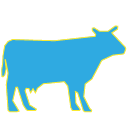 Animalerie